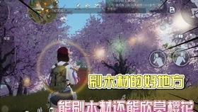 黎明觉醒最新大爆料,揭秘游戏背后震撼大爆料，全新剧情等你探索